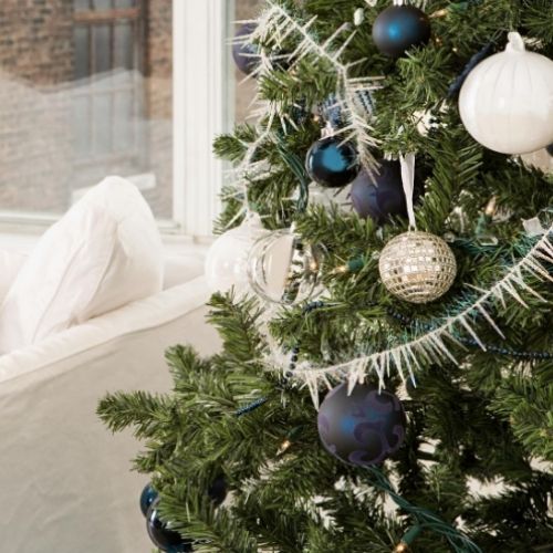 Christmas Tree / Pine Fragrance Oil Review Fragrance Oils Direct UK