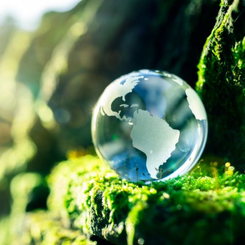 Fragrance Oils Direct and Sustainability Fragrance Oils Direct UK