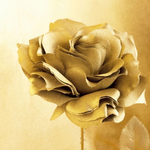 wholesale quality fragrance oils gilded rose fragrance oil