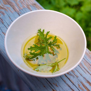 Essential Oils as Insect Repellent