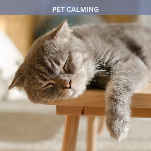 mood enhancing fragrance oils with added essential oil