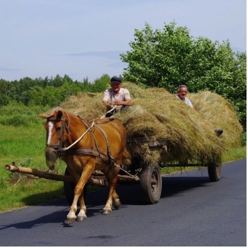 Hayride Fragrance Oil