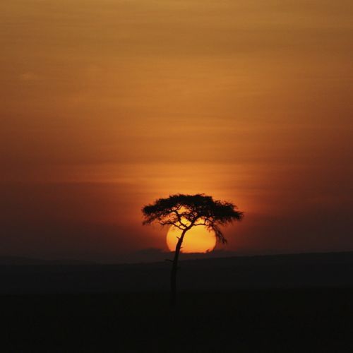 Khali Sunrise Fragrance Oil