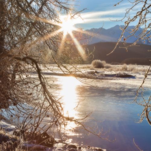 Winter Solstice (Yule) Fragrance Oil