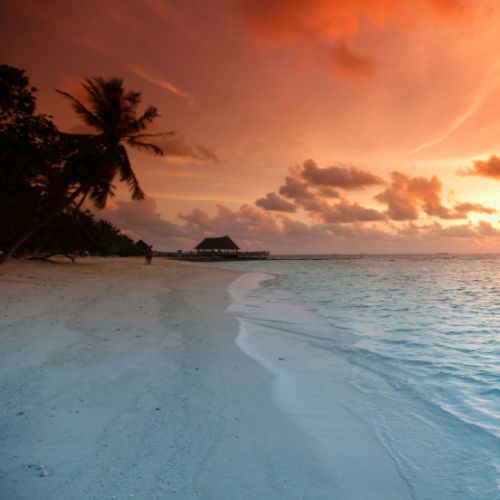 Amber Shores Fragrance Oil