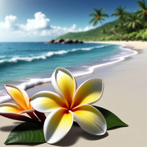 wholsale quality fragrance oils frangipani shores fragrance oil