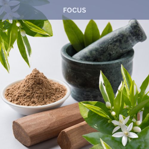 wholesale quality fragrance oil fragrance oils with benefits
