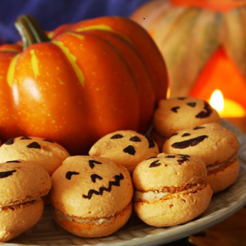 wholesale quality fragrance oils pumpkin macaron fragrance oil