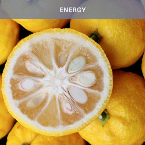 vitality fragrance oil with essential oil