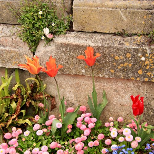 wholesale quality fragrance oils walled garden fragrance oil
