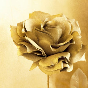 quality wholesale fragrance oils gilded rose fragrance oil