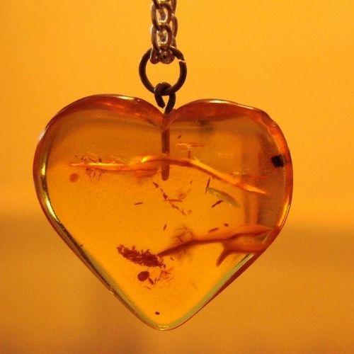 Baltic Amber Fragrance Oil Fragrance Oils Direct UK