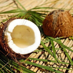 Coconut Fragrance Oil 