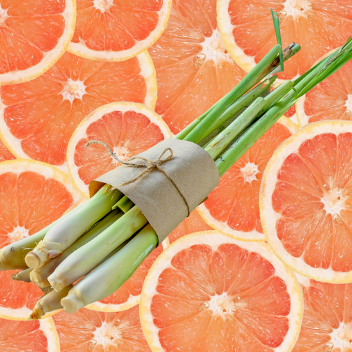 grapefruit and lemongrass fragrance oil. Best fragrance oil for wax melts candles and cosmetics