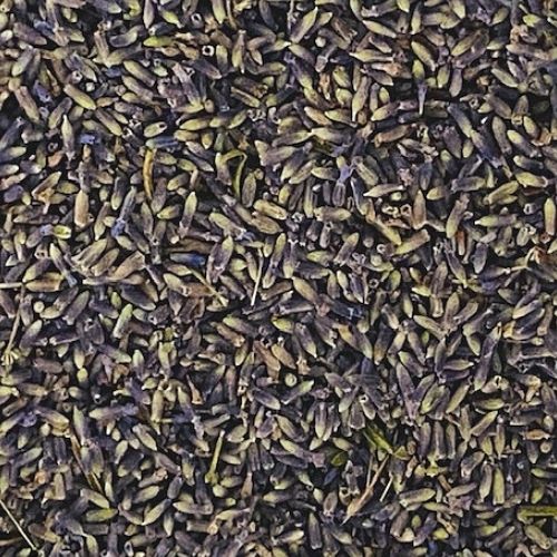 Lavender 10g
