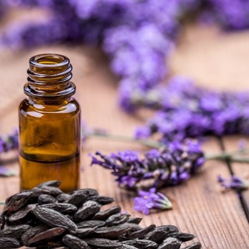quality wholesale fragrance oil lavender and tonka fragrance oil