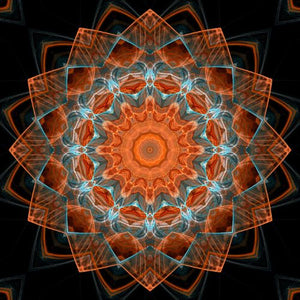 Mandala Essential Oil