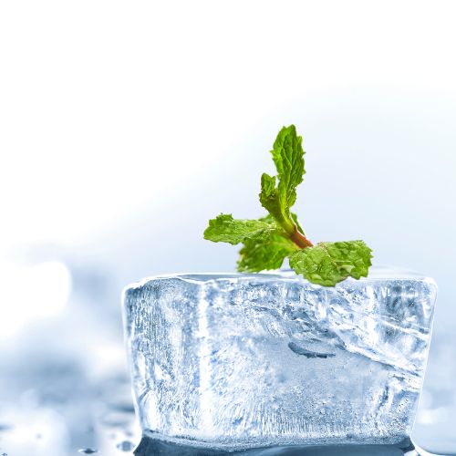 wholesale quality fragrance oils mint breeze fragrance oil