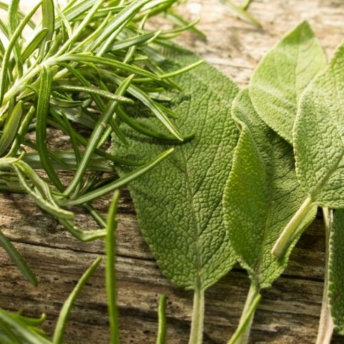 rosemary and sage fragrance oil.  best fragrance oil for candle making and wax melts and cosmetics