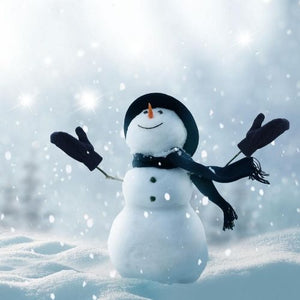snowman fragrance oil festive christmas oil for wax melt and candle making and cosmetics