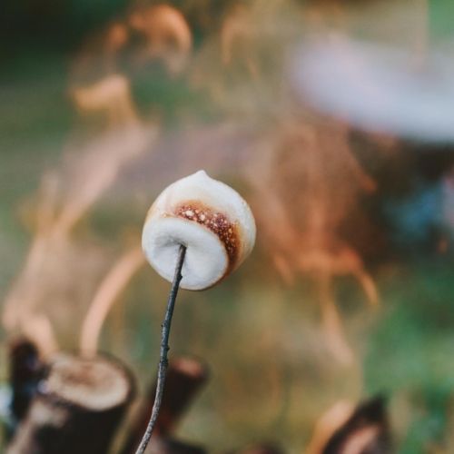 toasted marshmallow fragrance oil for wax melt and candle making and cosmetics