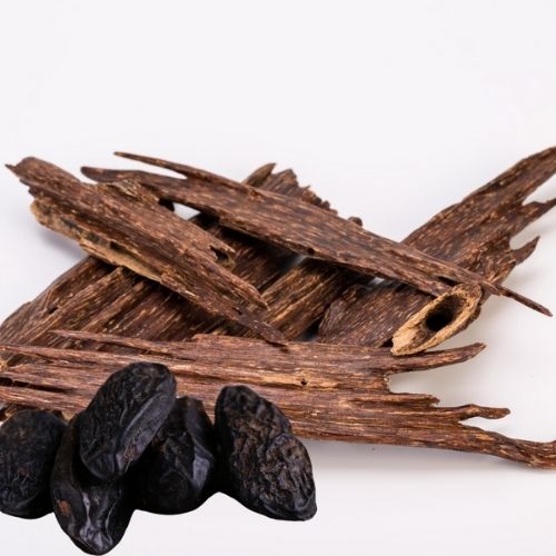 tonka and oud fragrance oil for wax melt and candle making and cosmetics
