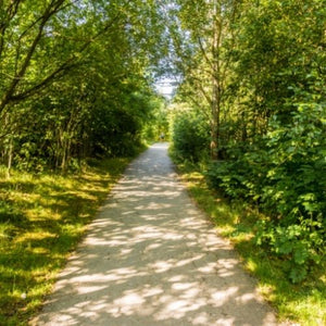 wholesale quality fragrance oils woodland walk fragrance oil